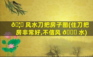 🦈 风水刀把房子图(住刀把房非常好,不信风 🐛 水)